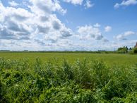 Grundelhof 20, 8862 PR Harlingen