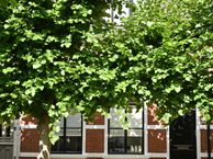 Belvédèrestraat 30, 4611 KK Bergen op Zoom