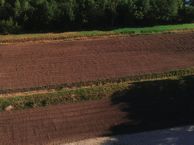 Parallelweg, 9482 TS Tynaarlo