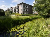 Hondsroos 24, 7701 NN Dedemsvaart