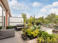 Waterviolier 6, 3295 WK 's-Gravendeel