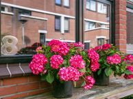 Neel Gijsenpad 8, 3043 MB Rotterdam