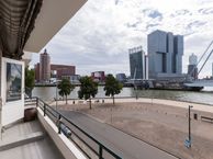 Meeuwenstraat 10 c, 3071 PE Rotterdam