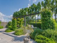 Mariënhagen 34, 3078 CM Rotterdam