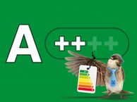 Kruishout 10, 5431 CR Cuijk