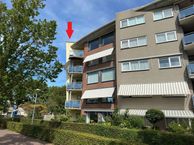 Regenwulp 37, 1991 VD Velserbroek