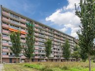 Trekvogelweg 291, 3815 LK Amersfoort