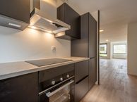 Onder de molen 32, 3295 LL 's-Gravendeel