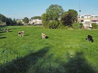 Kagerdreef 94, 2172 HM Sassenheim