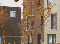 Das 30, 2693 EN 's-Gravenzande