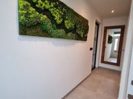 het Eensel 3, 5768 XZ Meijel