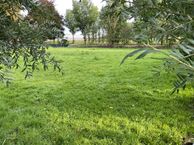 Noord Zuidweg 9-01, 6657 KA Boven-Leeuwen