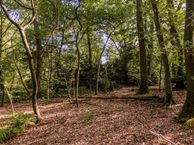 Sportparklaan 4, 6085 AP Horn