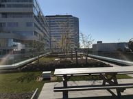 Moreelsehoek 186, 3511 EZ Utrecht