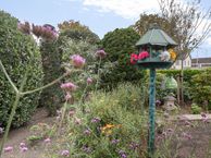 Welsummerstraat 7, 7721 CK Dalfsen