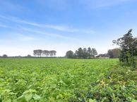 Dreef 63, 4586 AM Lamswaarde