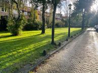 Ranonkelstraat 40, 1817 CC Alkmaar