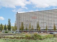 Burgemeester Hogguerstraat 671, 1064 CZ Amsterdam