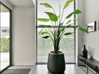 Rietgors 7, 7827 EC Emmen