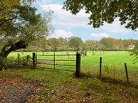 Engweg 87, 3972 JE Driebergen-Rijsenburg