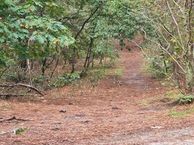 Schapendreef, 4641 HJ Ossendrecht