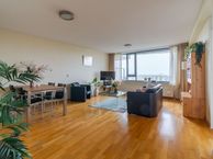 Drogerij 140, 2635 GP Den Hoorn (ZH)