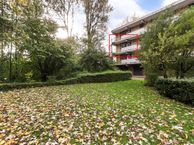 Campanula 98, 3317 HE Dordrecht