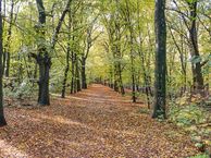 Albert Plesmanring 22, 3712 DA Huis ter Heide (UT)