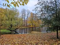 Noorderbuitensingel 30 a, 9717 KL Groningen