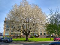 Tolsteegplantsoen 45, 3523 AN Utrecht