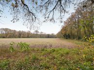 Piersonlaan 13, 1272 JR Huizen