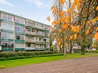 Van Houtenstraat 62, 7331 SZ Apeldoorn