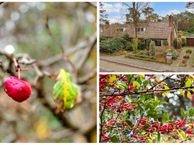 Bremlaan 27, 3735 KH Bosch en Duin