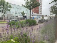 Vondellaan 31, 3521 GC Utrecht