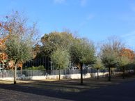 Van Iddekingeweg 138 62, 9721 CL Groningen