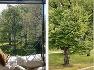 Zocherlaan 54, 2061 DK Bloemendaal