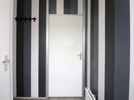 Hesselterbrink 556, 7812 EN Emmen