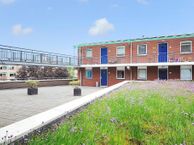 Fluitekruid 42, 2635 KT Den Hoorn (ZH)