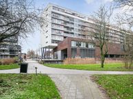 Johan van Reigersbergstraat 209, 4336 XJ Middelburg