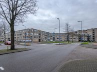 Grote Beer 986, 3067 MB Rotterdam