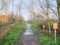 Rommesingel 57, 2641 VG Pijnacker