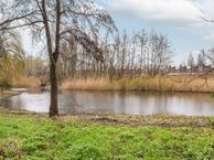 Wilgendreef 3, 3137 CZ Vlaardingen