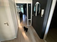 Dirk de Raetlaan 95, 2241 RK Wassenaar