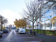 Willem Pijperstraat 202, 2551 CP Den Haag