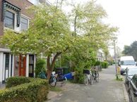 Boeroestraat 42 a, 2612 GG Delft