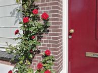 Houtstraat 4, 5612 KA Eindhoven