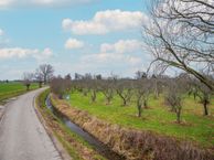 Kloosterstraat, 6662 NA Elst (GE)