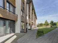 Ree 29, 5509 RB Veldhoven