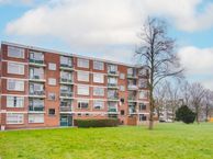Hondsdrafweg 4, 1508 BX Zaandam