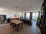 Professor de Moorplein 567, 5037 DR Tilburg